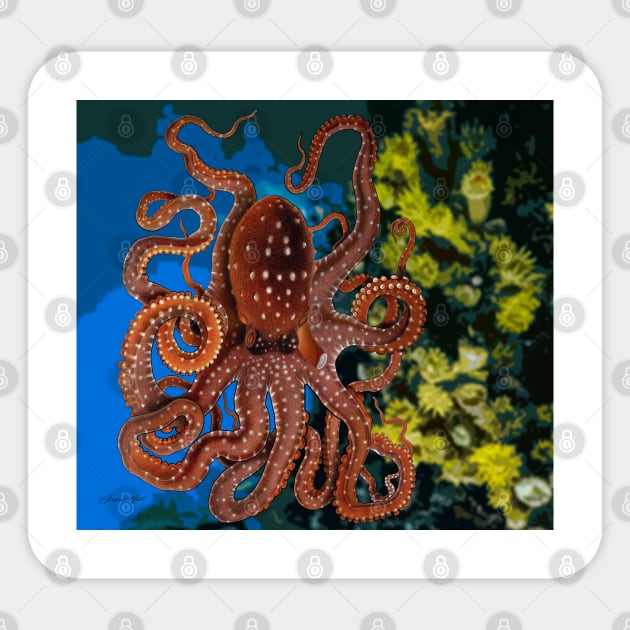 Octopus Sticker by PjesusArt